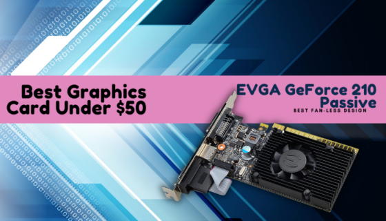 EVGA GeForce 210 Passive