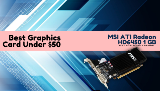 MSI ATI Radeon HD6450 1 GB